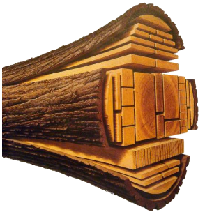 Tamayo Madera